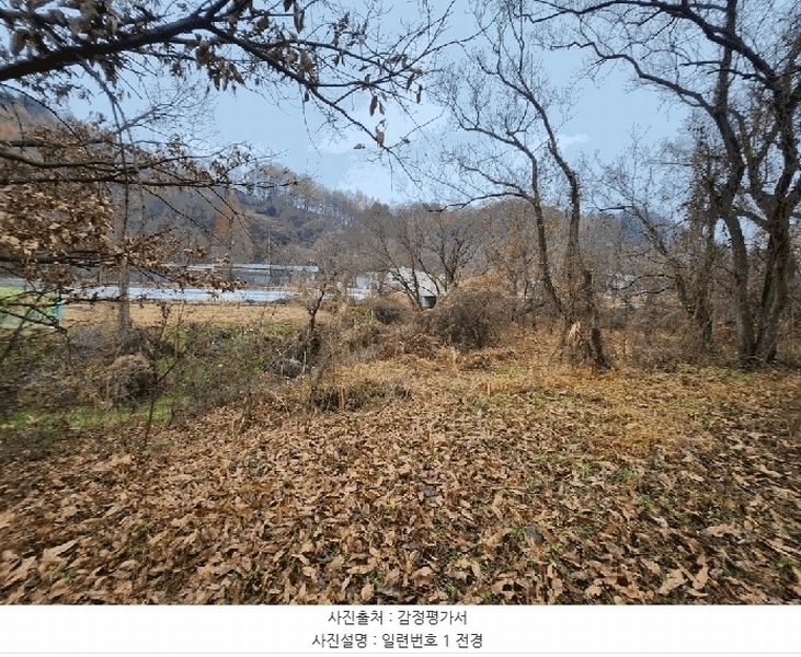 2025타경52030 충청북도 괴산군 괴산읍 서부리 67 농지 경매 이미지
