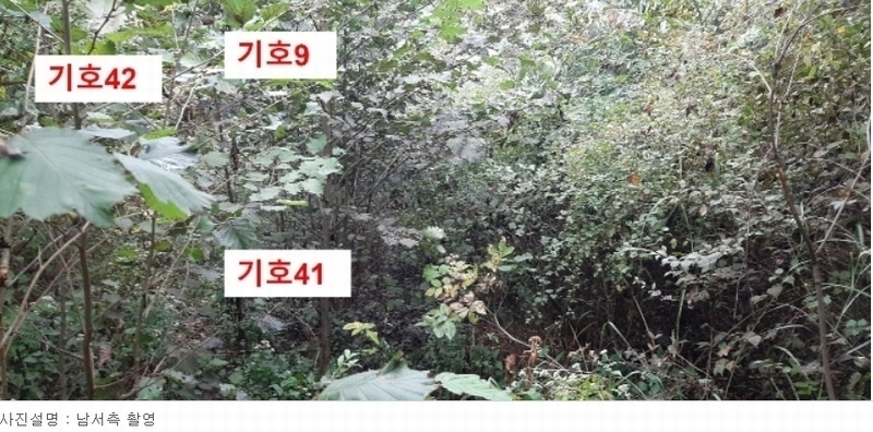 2021타경5173 경기도 광주시 퇴촌면 관음리 82-20 임야 경매 이미지