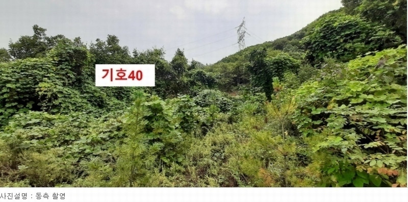 2021타경5173 경기도 광주시 퇴촌면 관음리 82-20 임야 경매 이미지