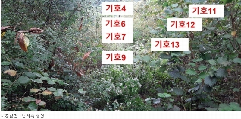 2021타경5173 경기도 광주시 퇴촌면 관음리 82-20 임야 경매 이미지