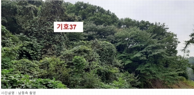 2021타경5173 경기도 광주시 퇴촌면 관음리 82-20 임야 경매 이미지