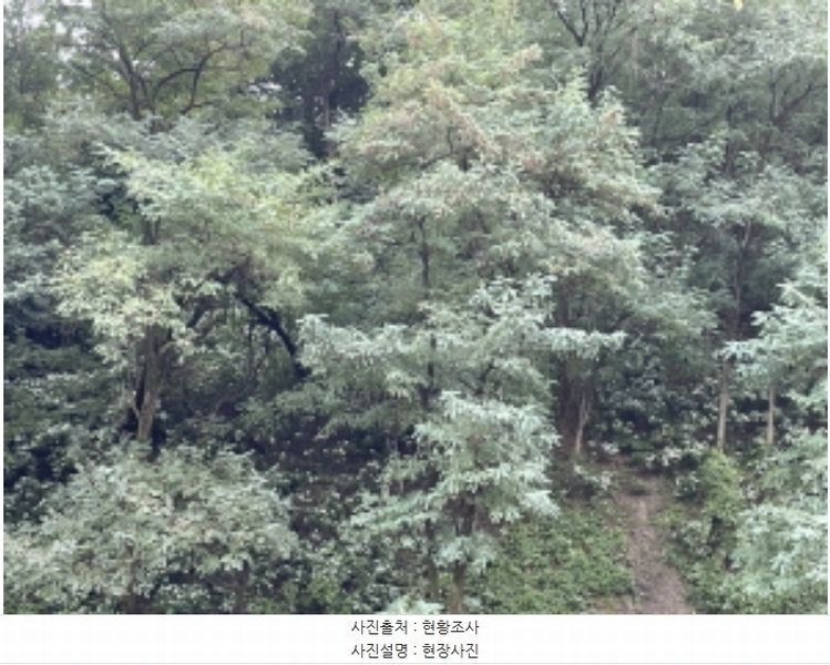 2024타경6023 경기도 성남시 분당구 운중동 573-1 임야 경매 이미지