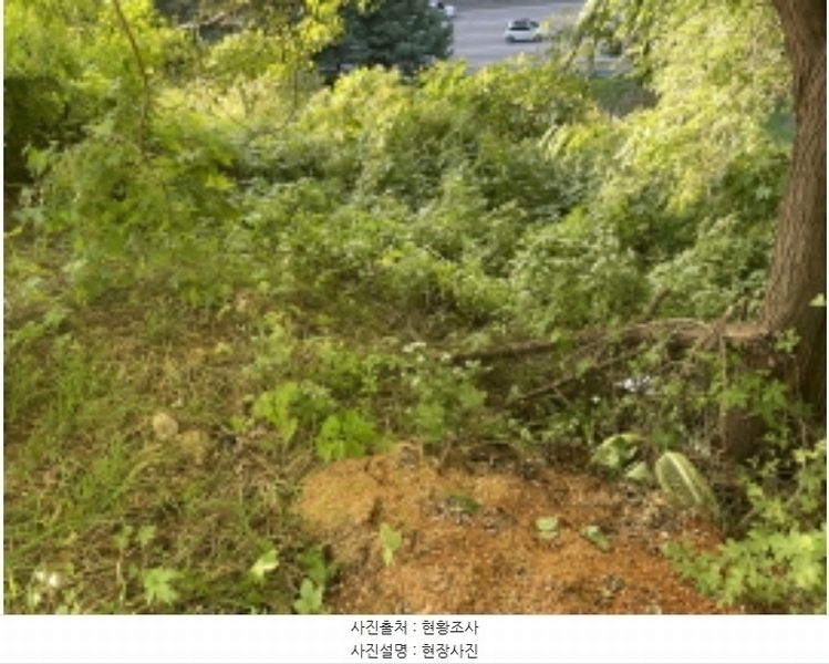 2024타경6023 경기도 성남시 분당구 운중동 573-1 임야 경매 이미지