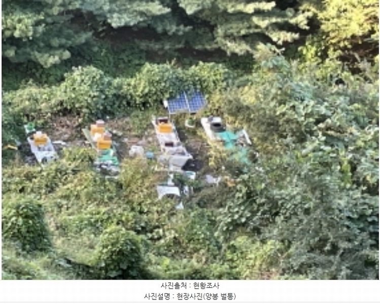 2024타경6023 경기도 성남시 분당구 운중동 573-1 임야 경매 이미지