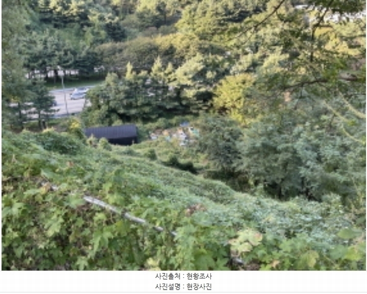 2024타경6023 경기도 성남시 분당구 운중동 573-1 임야 경매 이미지