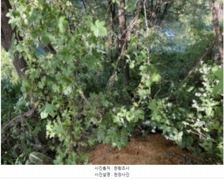 2024타경6023 경기도 성남시 분당구 운중동 573-1 임야 경매 이미지