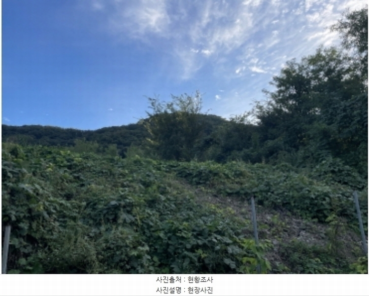 2024타경6023 경기도 성남시 분당구 운중동 573-1 임야 경매 이미지
