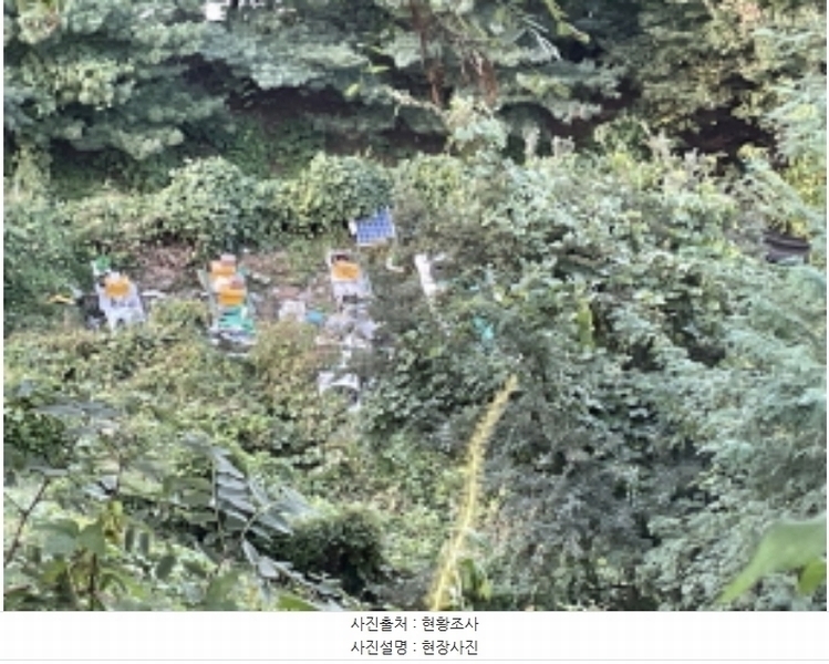 2024타경6023 경기도 성남시 분당구 운중동 573-1 임야 경매 이미지