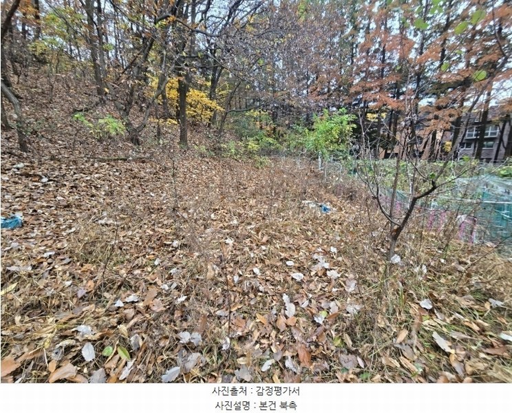 2024타경69123 경기도 성남시 분당구 수내동 277 농지 경매 이미지