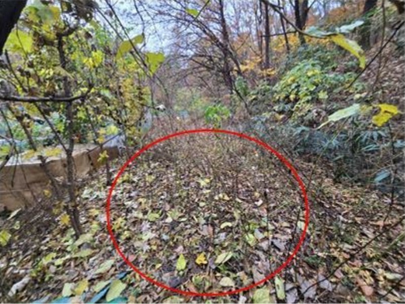 2024타경69123 경기도 성남시 분당구 수내동 277 농지 경매 이미지