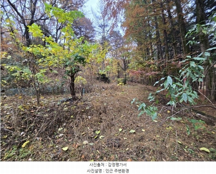 2024타경69123 경기도 성남시 분당구 수내동 277 농지 경매 이미지