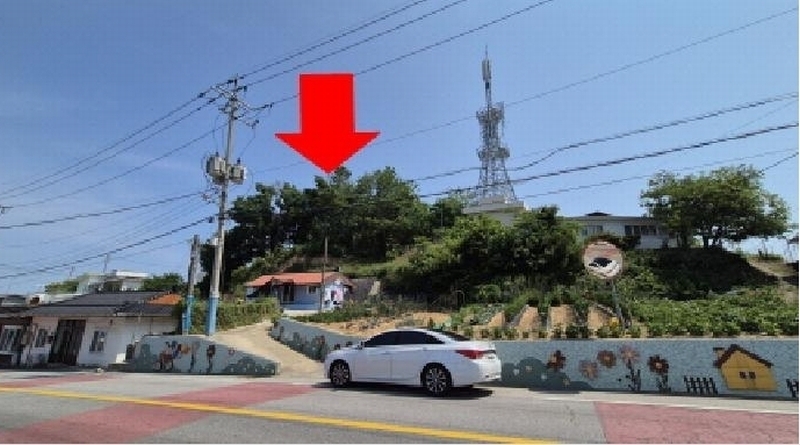 2025타경244 강원특별자치도 고성군 현내면 대진리 산75 임야 경매 이미지