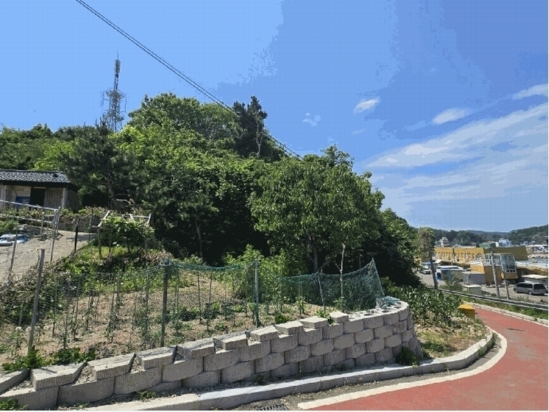 2025타경244 강원특별자치도 고성군 현내면 대진리 산75 임야 경매 이미지