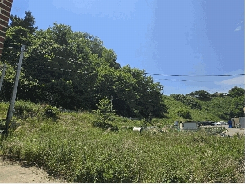 2025타경244 강원특별자치도 고성군 현내면 대진리 산75 임야 경매 이미지