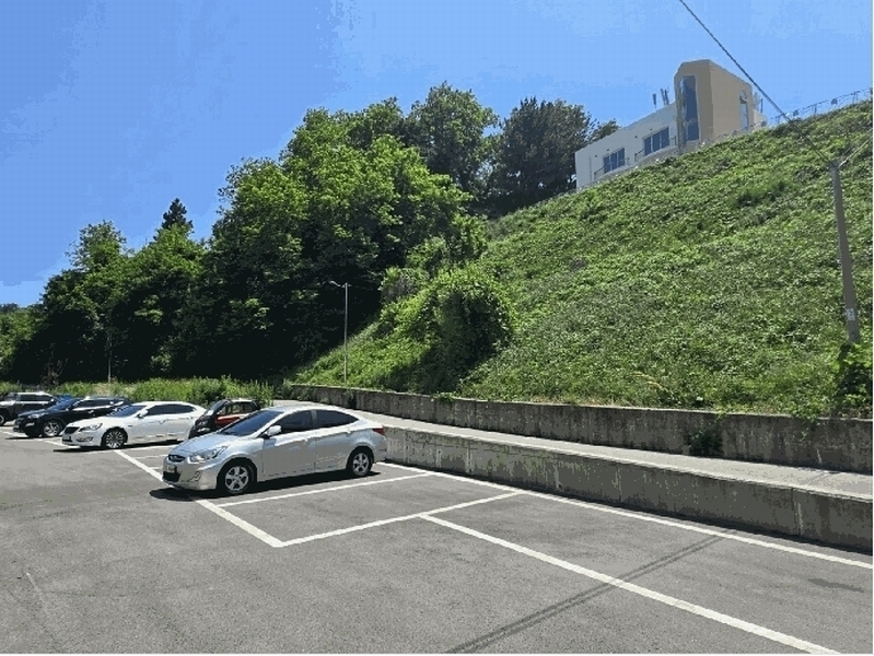 2025타경244 강원특별자치도 고성군 현내면 대진리 산75 임야 경매 이미지