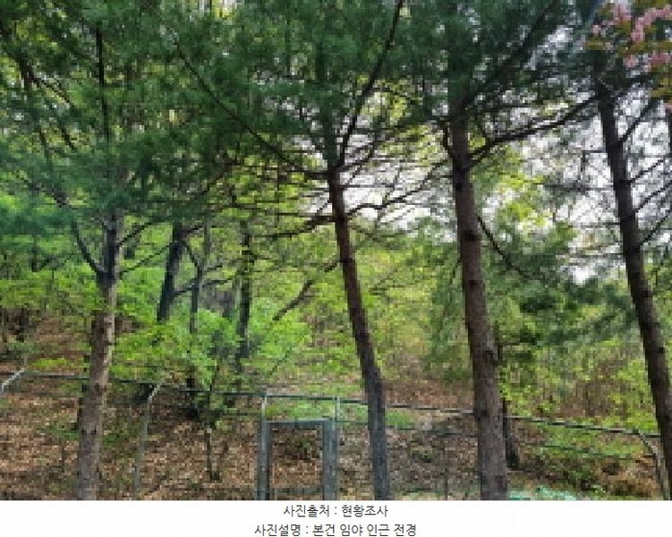 2025타경1452 경기도 광주시 탄벌동 산59-2 임야 경매 이미지