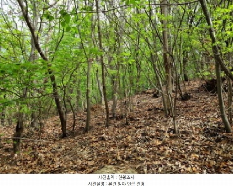 2025타경1452 경기도 광주시 탄벌동 산59-2 임야 경매 이미지
