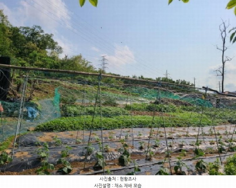 2025타경1797 경기도 하남시 광암동 249 농지 경매 이미지