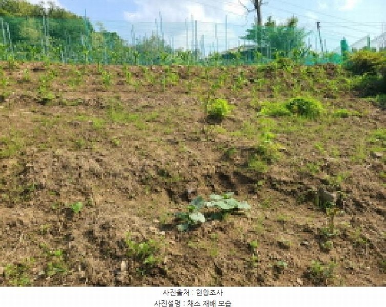 2025타경1797 경기도 하남시 광암동 249 농지 경매 이미지
