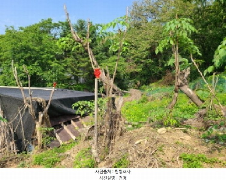2025타경1797 경기도 하남시 광암동 249 농지 경매 이미지