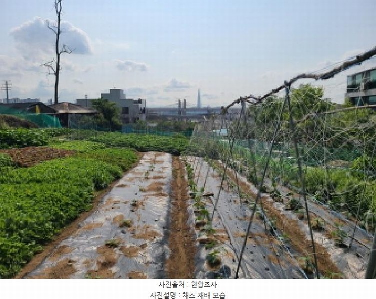 2025타경1797 경기도 하남시 광암동 249 농지 경매 이미지