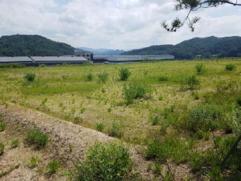 2025타경50799 강원특별자치도 춘천시 동산면 군자리 1382-1 공장용지 경매 이미지