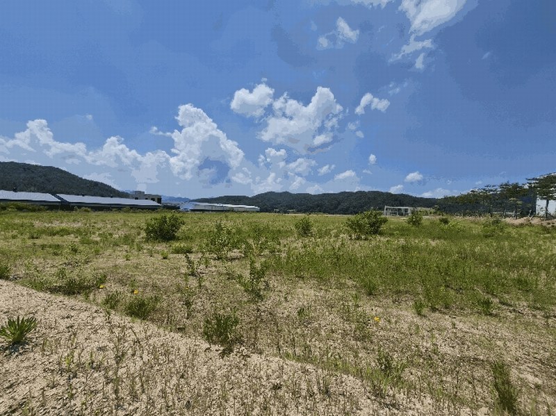 2025타경50799 강원특별자치도 춘천시 동산면 군자리 1382-1 공장용지 경매 이미지