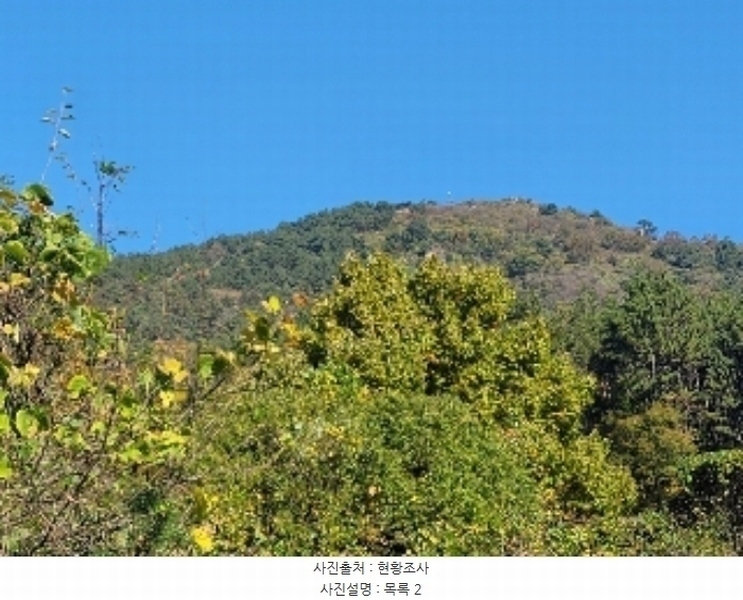 2024타경4485 경상남도 거제시 둔덕면 거림리 산93 임야 경매 이미지