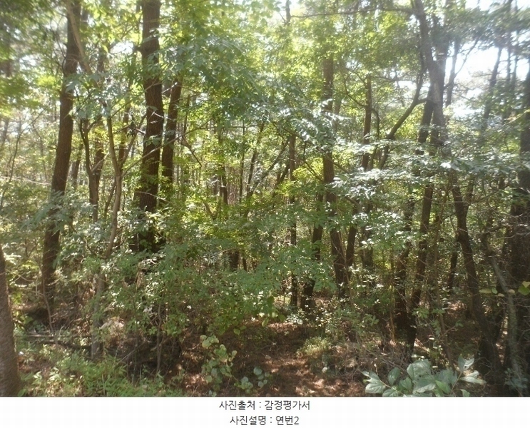 2024타경4485 경상남도 거제시 둔덕면 거림리 산93 임야 경매 이미지