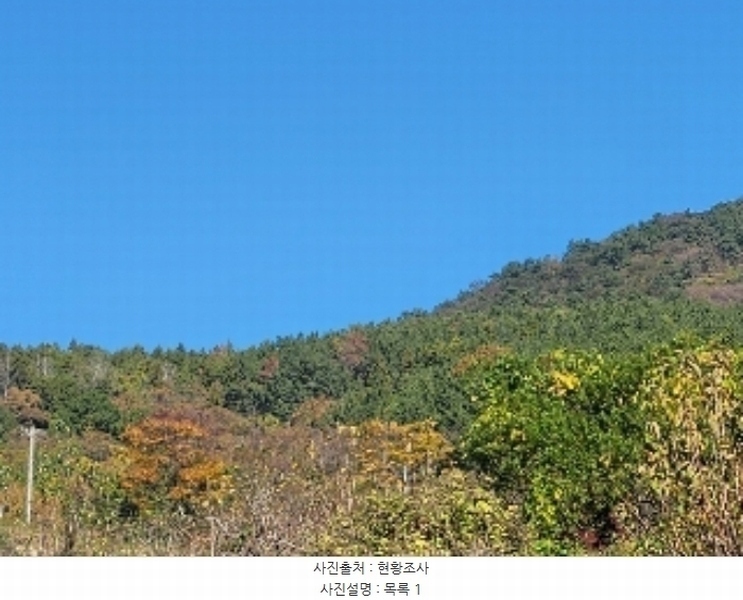 2024타경4485 경상남도 거제시 둔덕면 거림리 산93 임야 경매 이미지