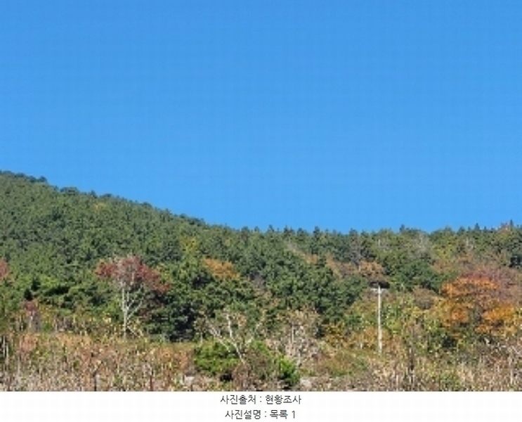 2024타경4485 경상남도 거제시 둔덕면 거림리 산93 임야 경매 이미지