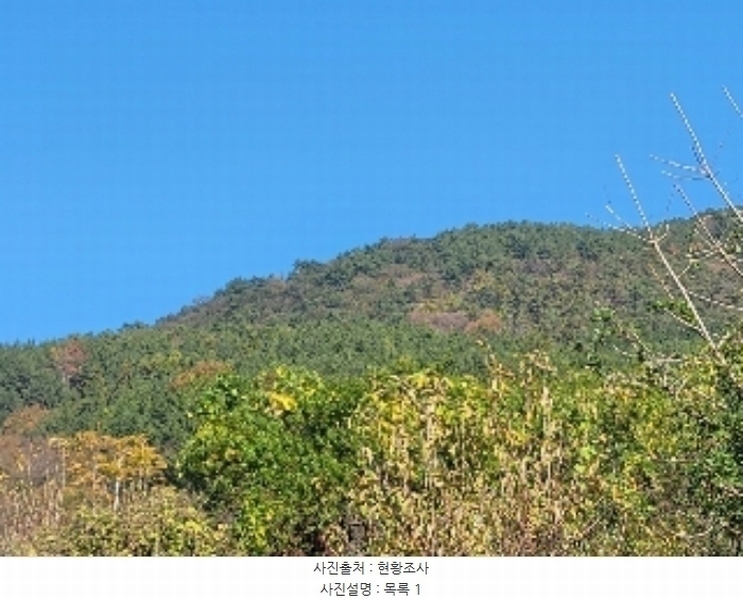 2024타경4485 경상남도 거제시 둔덕면 거림리 산93 임야 경매 이미지