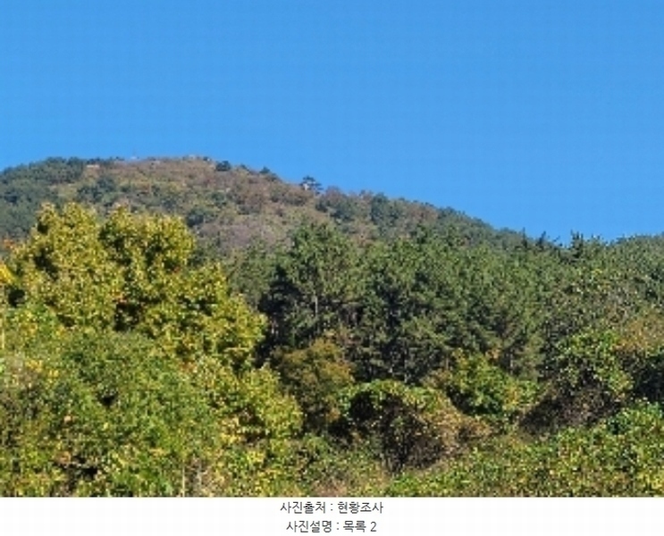 2024타경4485 경상남도 거제시 둔덕면 거림리 산93 임야 경매 이미지