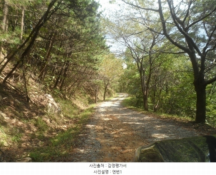 2024타경4485 경상남도 거제시 둔덕면 거림리 산93 임야 경매 이미지