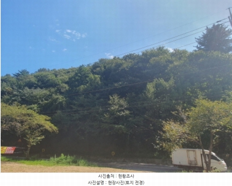 2024타경63385 경기도 광주시 퇴촌면 영동리 산38-1 임야 경매 이미지