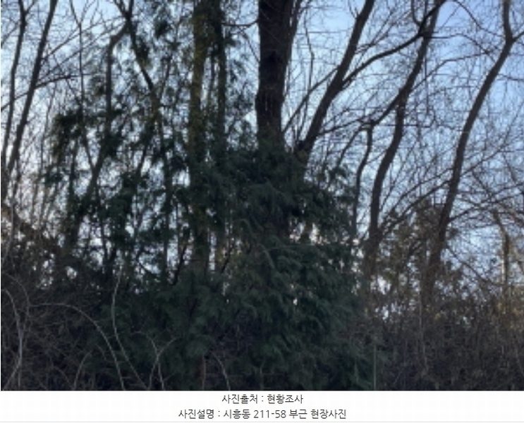 2024타경71010 경기도 성남시 수정구 시흥동 211-58 임야 경매 이미지