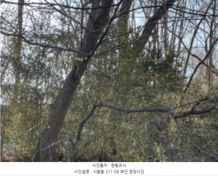 2024타경71010 경기도 성남시 수정구 시흥동 211-58 임야 경매 이미지