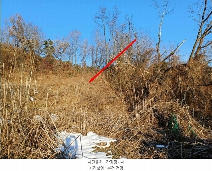 2024타경71010 경기도 성남시 수정구 시흥동 211-58 임야 경매 이미지