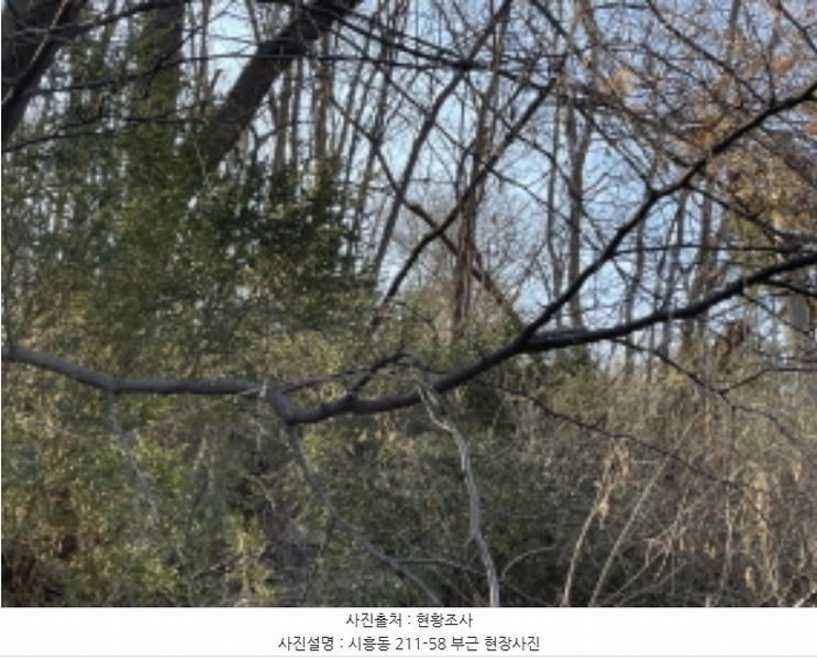 2024타경71010 경기도 성남시 수정구 시흥동 211-58 임야 경매 이미지