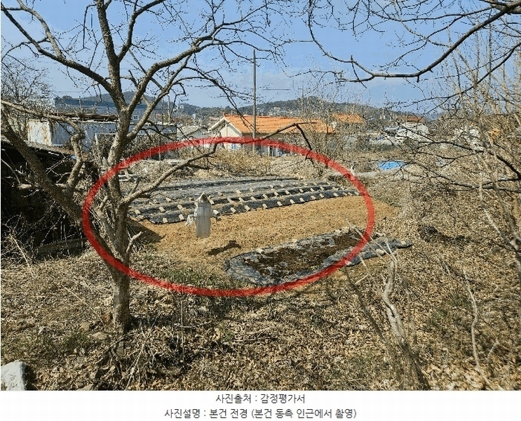 2025타경52000 경기도 안산시 단원구 대부북동 1303-8 대지 경매 이미지