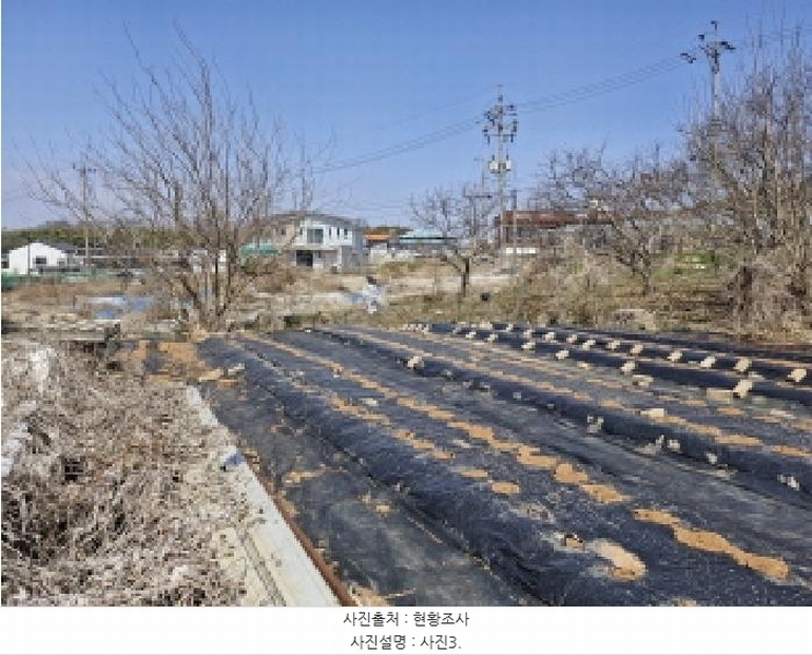 2025타경52000 경기도 안산시 단원구 대부북동 1303-8 대지 경매 이미지