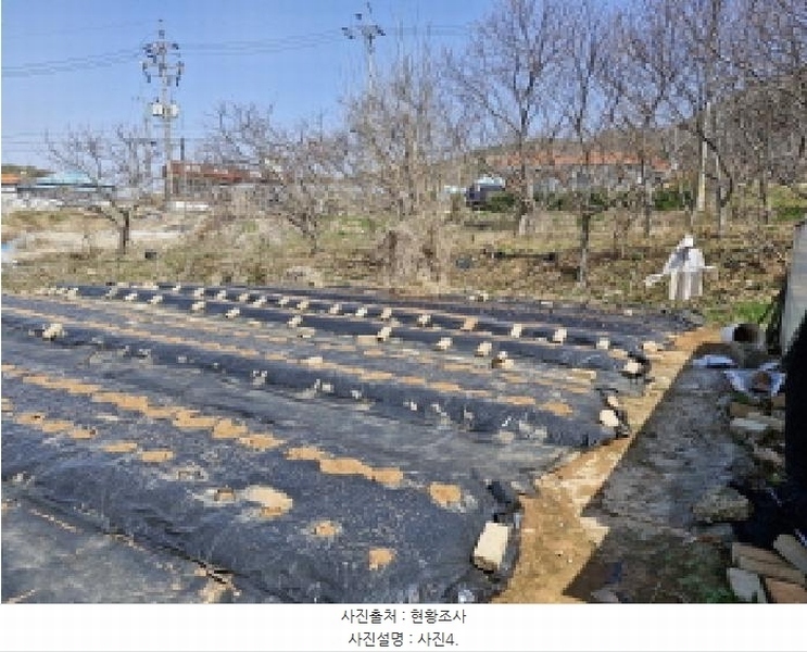 2025타경52000 경기도 안산시 단원구 대부북동 1303-8 대지 경매 이미지