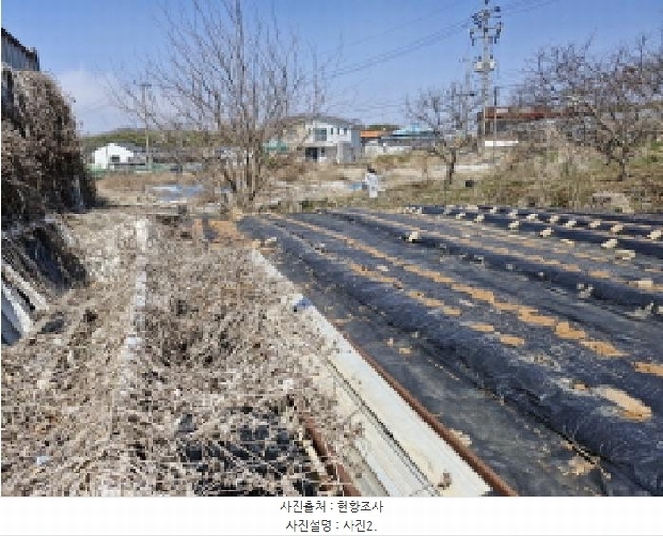 2025타경52000 경기도 안산시 단원구 대부북동 1303-8 대지 경매 이미지