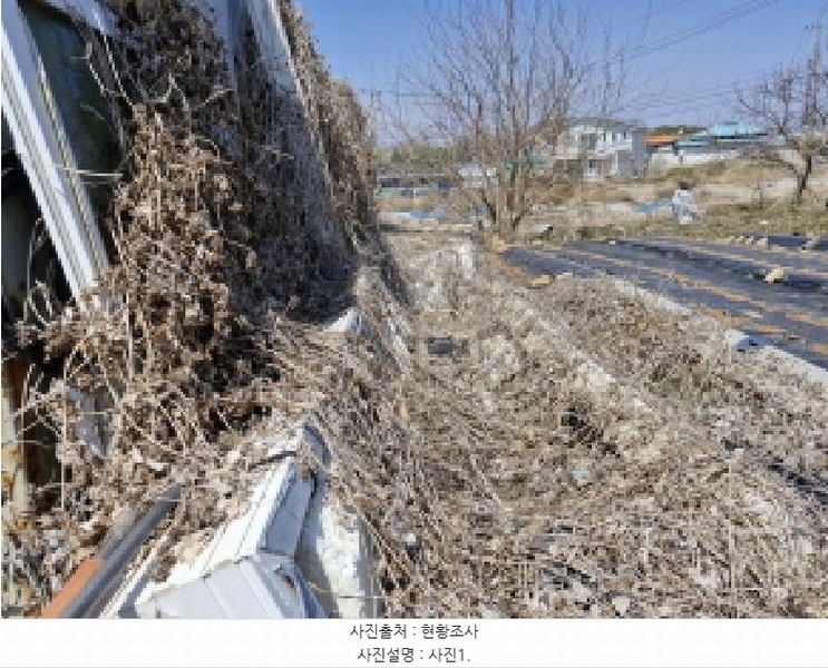 2025타경52000 경기도 안산시 단원구 대부북동 1303-8 대지 경매 이미지