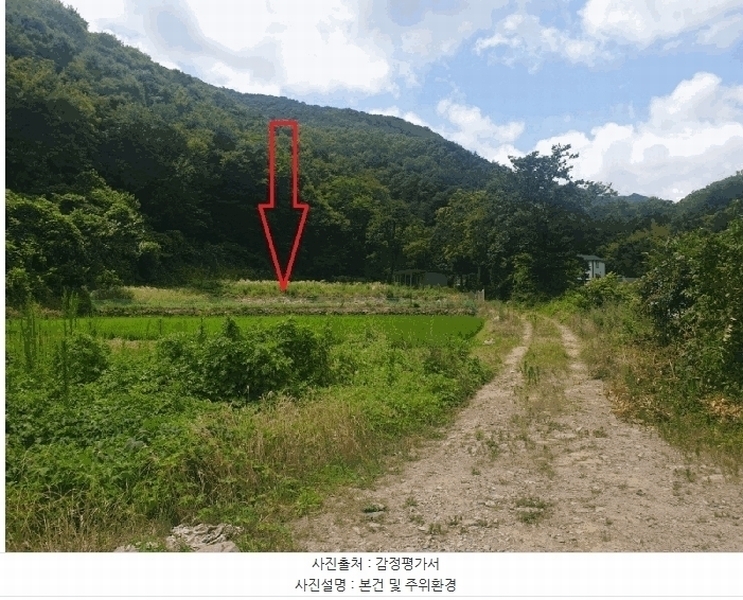 2025타경10598 경상북도 경주시 문무대왕면 안동리 987 농지 경매 이미지