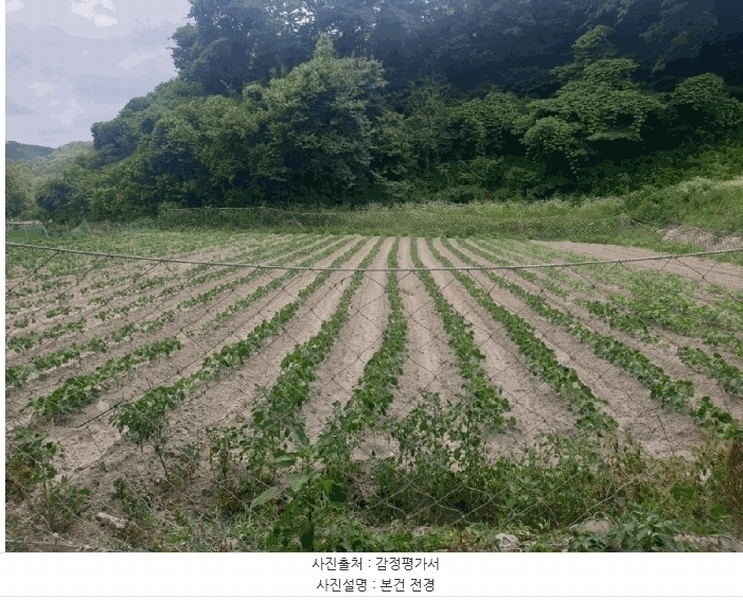 2025타경10598 경상북도 경주시 문무대왕면 안동리 987 농지 경매 이미지
