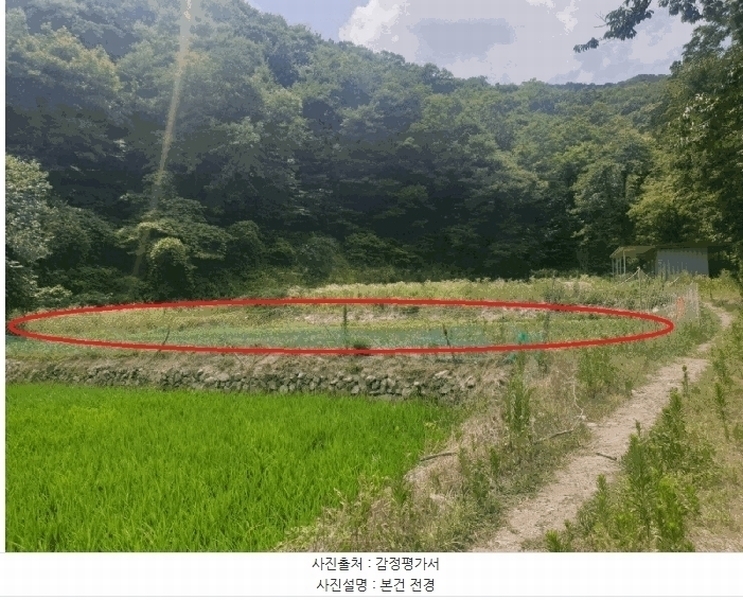 2025타경10598 경상북도 경주시 문무대왕면 안동리 987 농지 경매 이미지