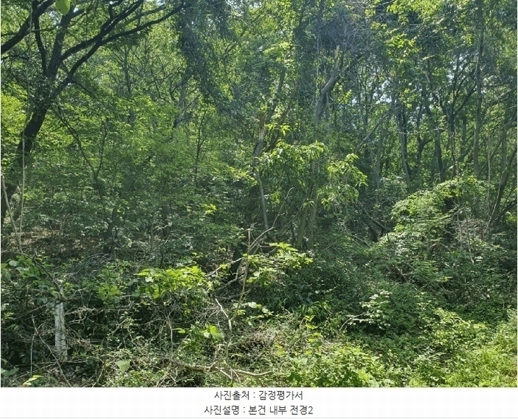 2025타경52270 경기도 광주시 남한산성면 엄미리 산99-1 임야 경매 이미지