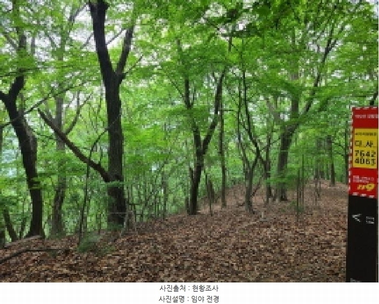 2025타경52270 경기도 광주시 남한산성면 엄미리 산99-1 임야 경매 이미지