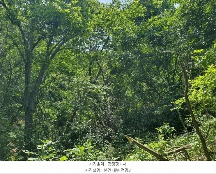 2025타경52270 경기도 광주시 남한산성면 엄미리 산99-1 임야 경매 이미지